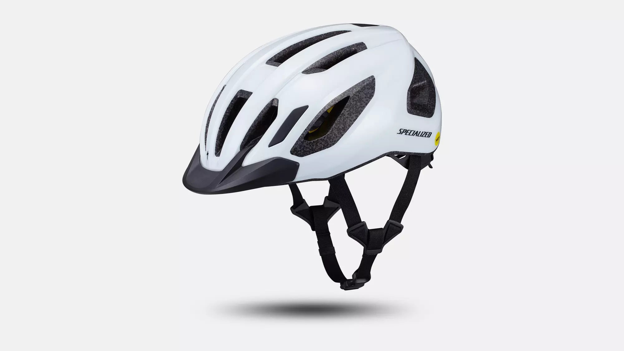 Specialized Chamonix 3