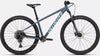 Specialized Rockhopper Expert