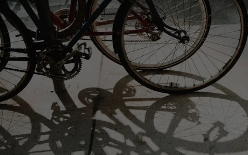 Thule RideAlong Bike Seat Bike & Ski