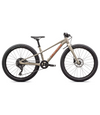 Specialized Riprock 24